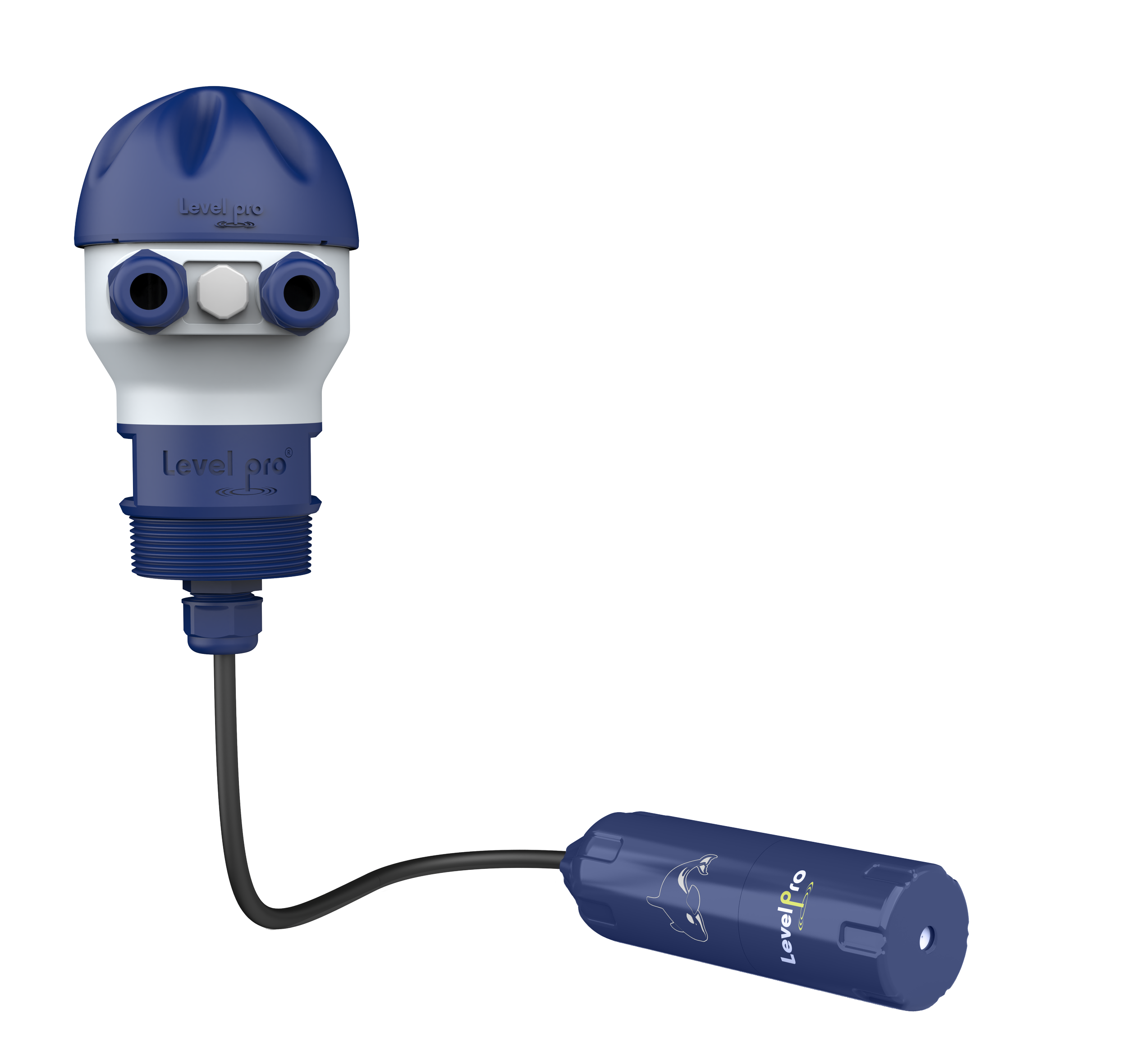 LP100 NEMA 4X Junction Box with LevelPro 100 Series Submersible Level Sensor