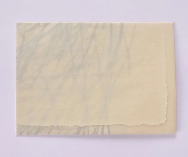 note lacquer, tracing paper, lacquer, canvas 10 x 15 2015