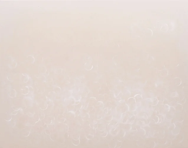 bubbles Ⅱ   acrylic on canvas     70 x 90     2011