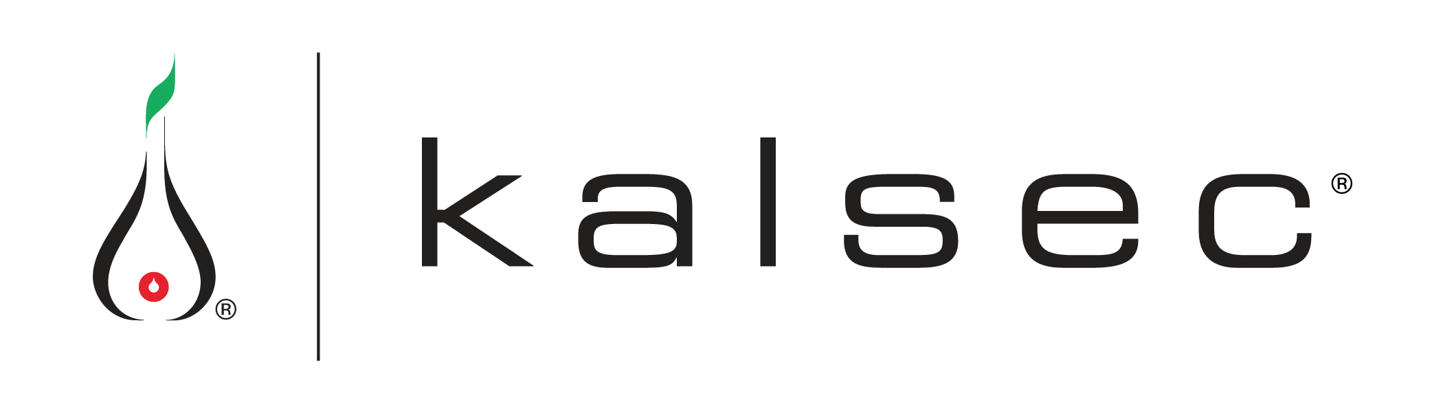 Kalsec Logo_4C-01.png