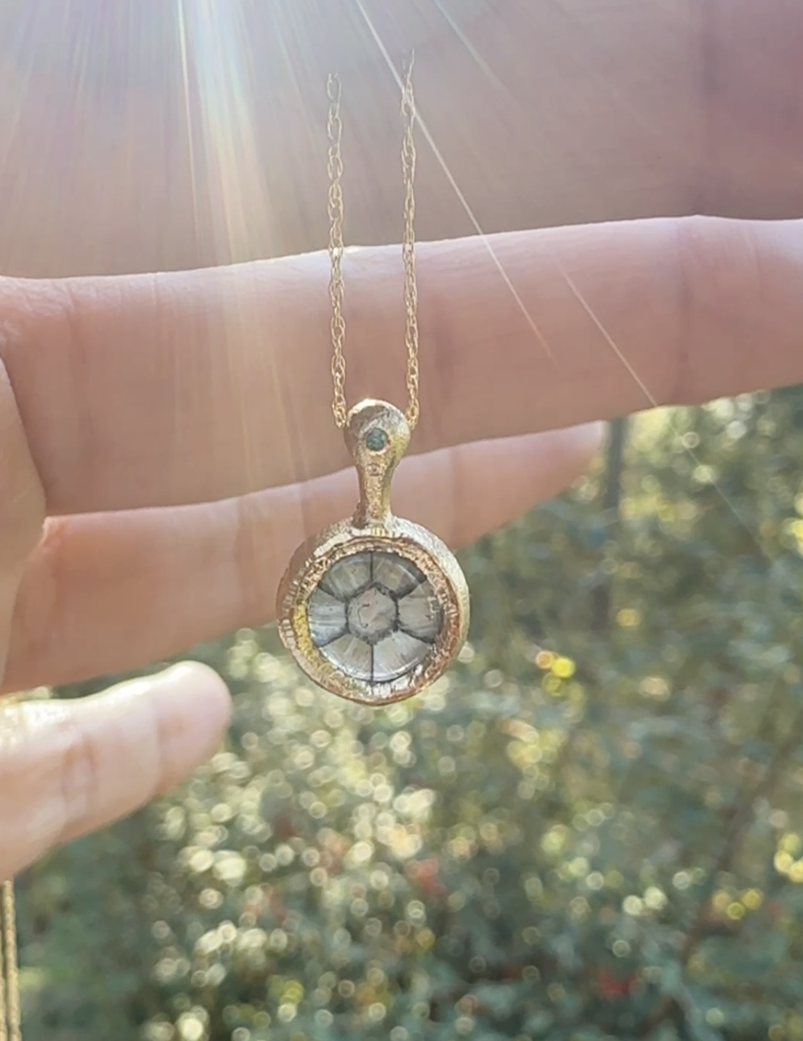 Screenshot 2025-11-25 at 8.56.49 AM.png