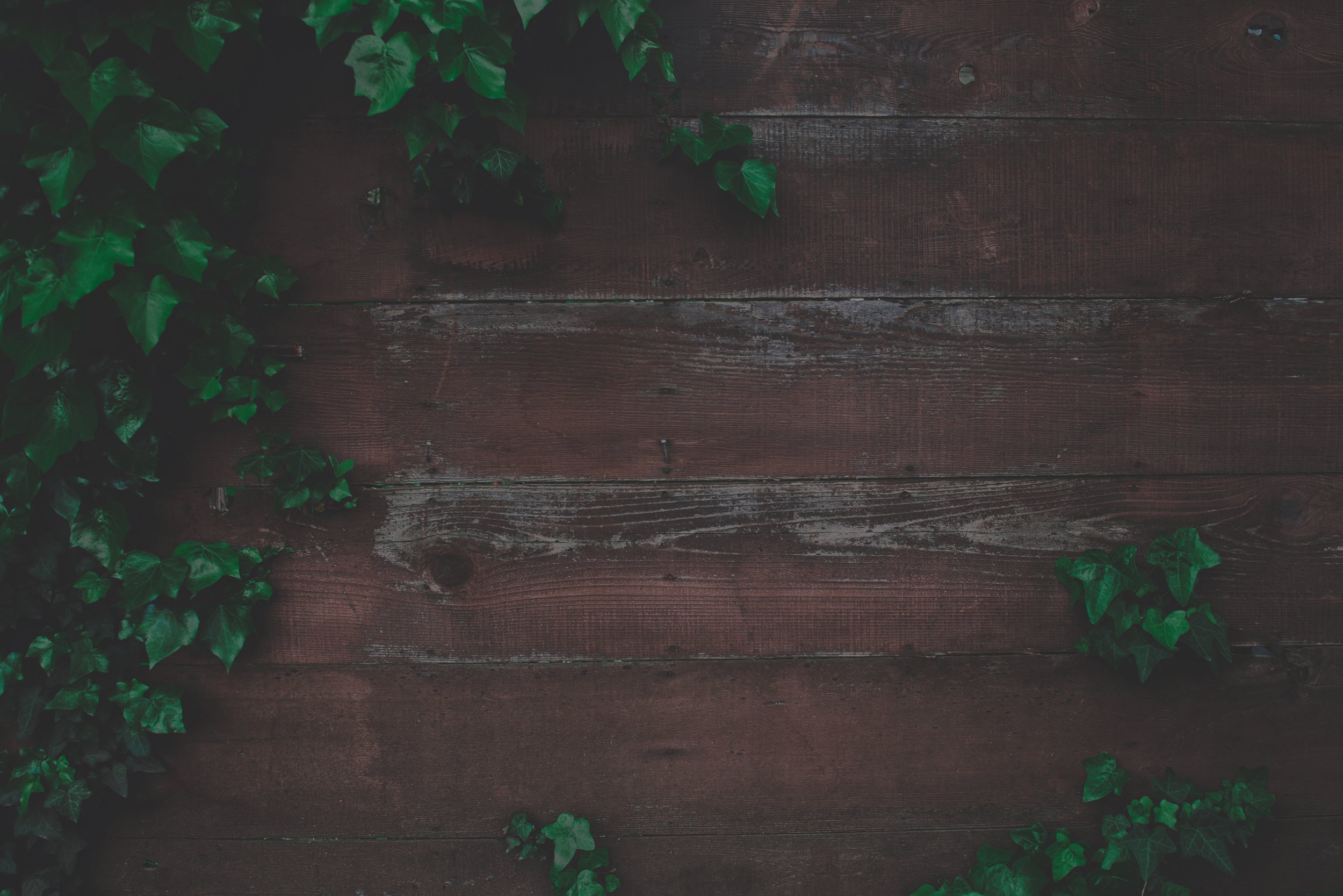 tim-mossholder-244857-unsplash.jpg
