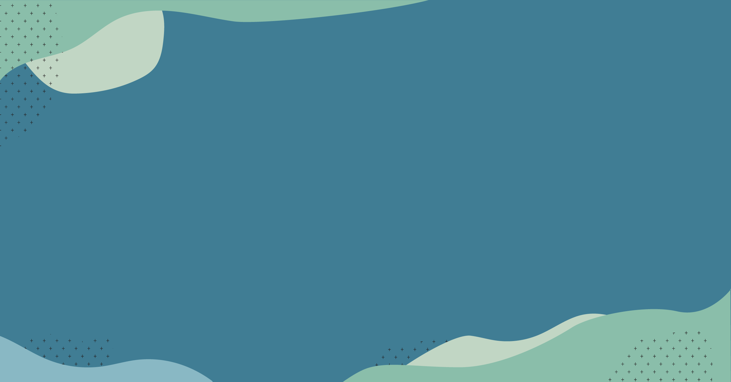 Zigii_Banner_02.png