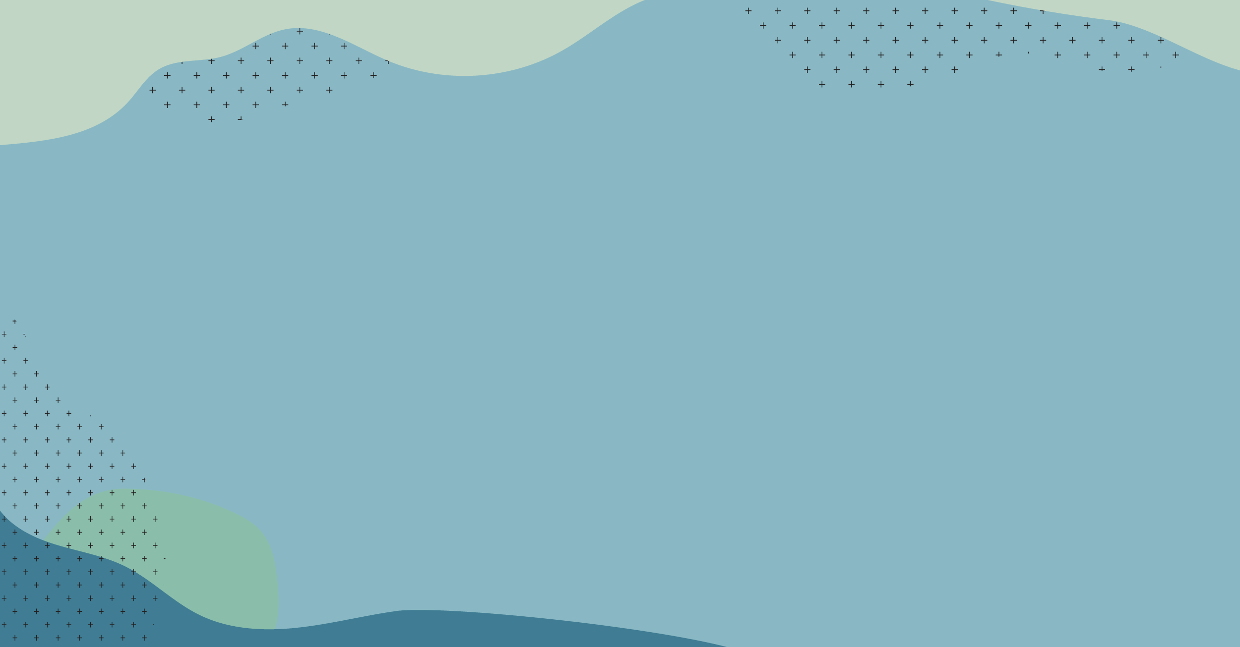 Zigii_Banner_04.png