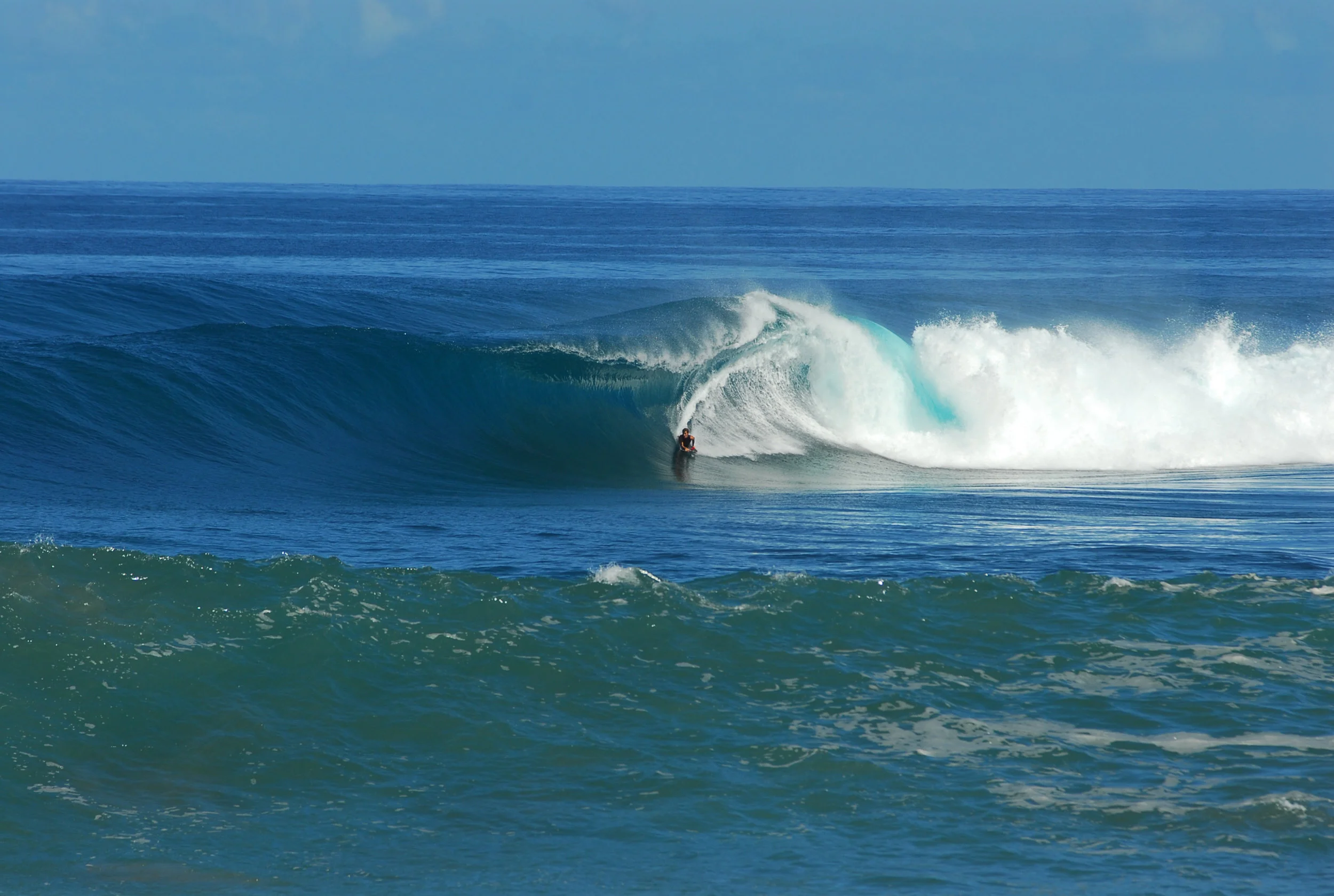 Turtle rights, Saint Leu. Photo: Jean Michel Prevet