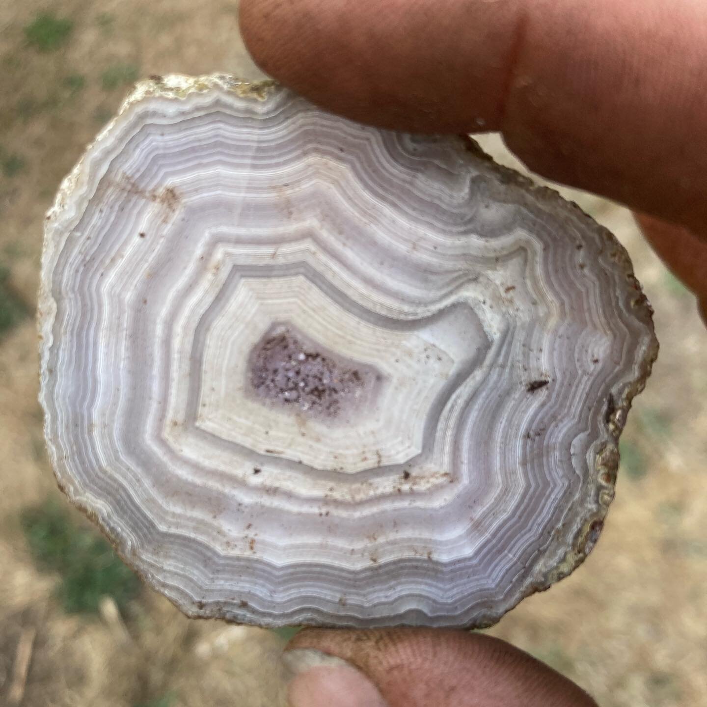 Sometimes we find treasure when we dig in the yard.

#rockhound
#stones
#agates
#jewels
#gems
#neverknowwhatyoulldigup
#halfacrehomestead
#minerals
#geology
#rocksandminerals