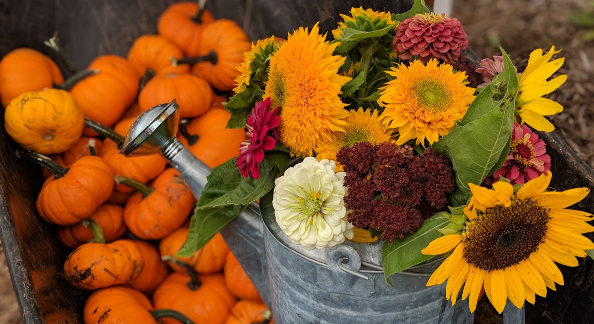 fall flowers and pumpkins.jpg