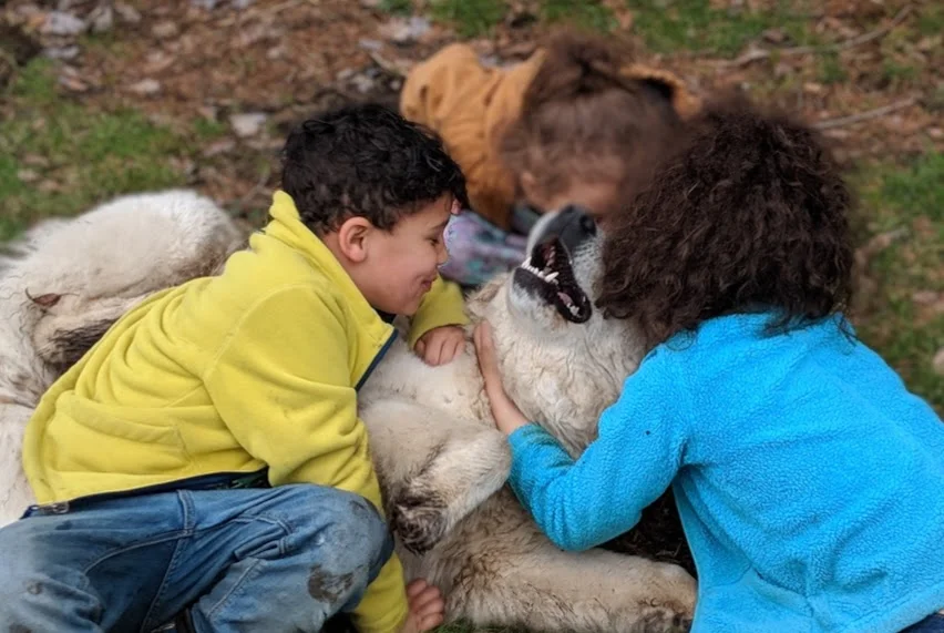 spring 2019 cutie and kids 2.jpg