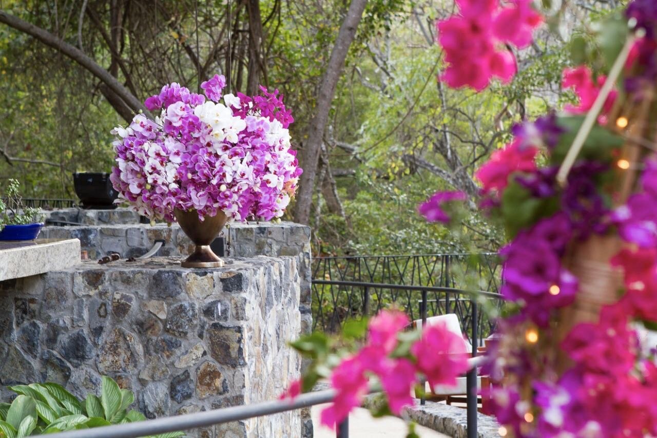 An explosion of phalaenopsis orchids!! {photo} @sylviaguardia_photography {venue} @peninsulapapagayo