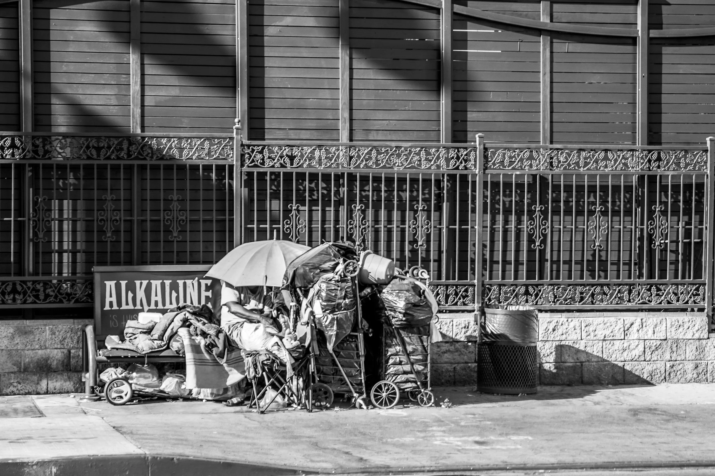 DSC02911.jpg