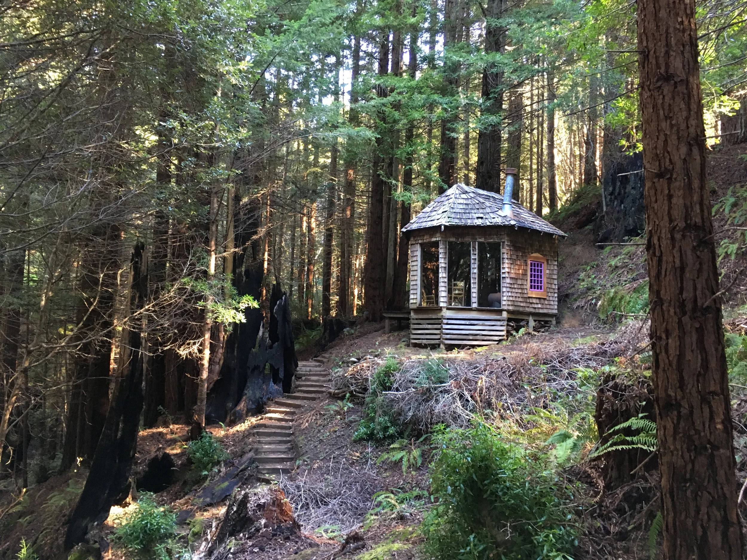  Carpenter’s Cabin, Salmon Creek Farm, February 2018. 