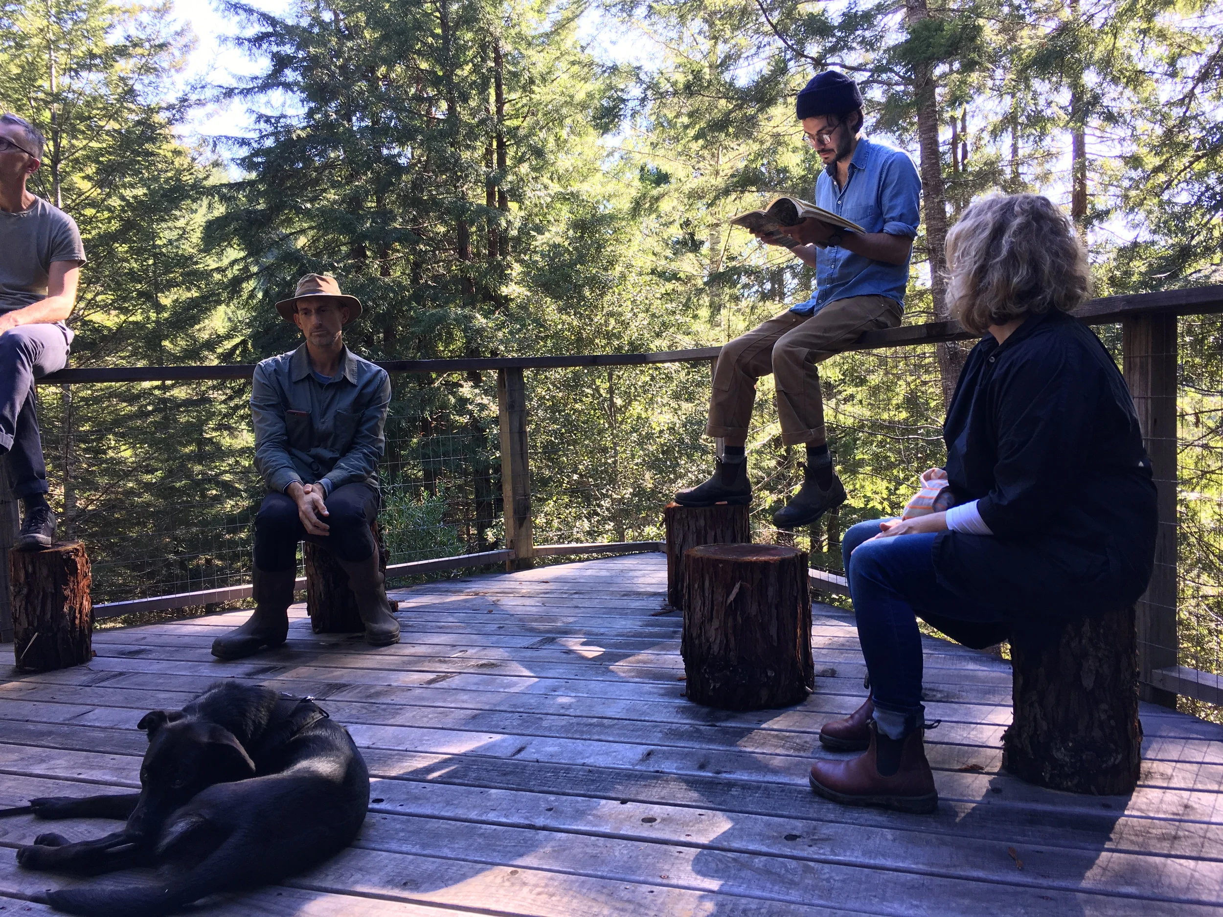  Convening on deck of Salmon Cabin.  Companion Planting: A Prologue , Salmon Creek Farm, February 3, 2018. 