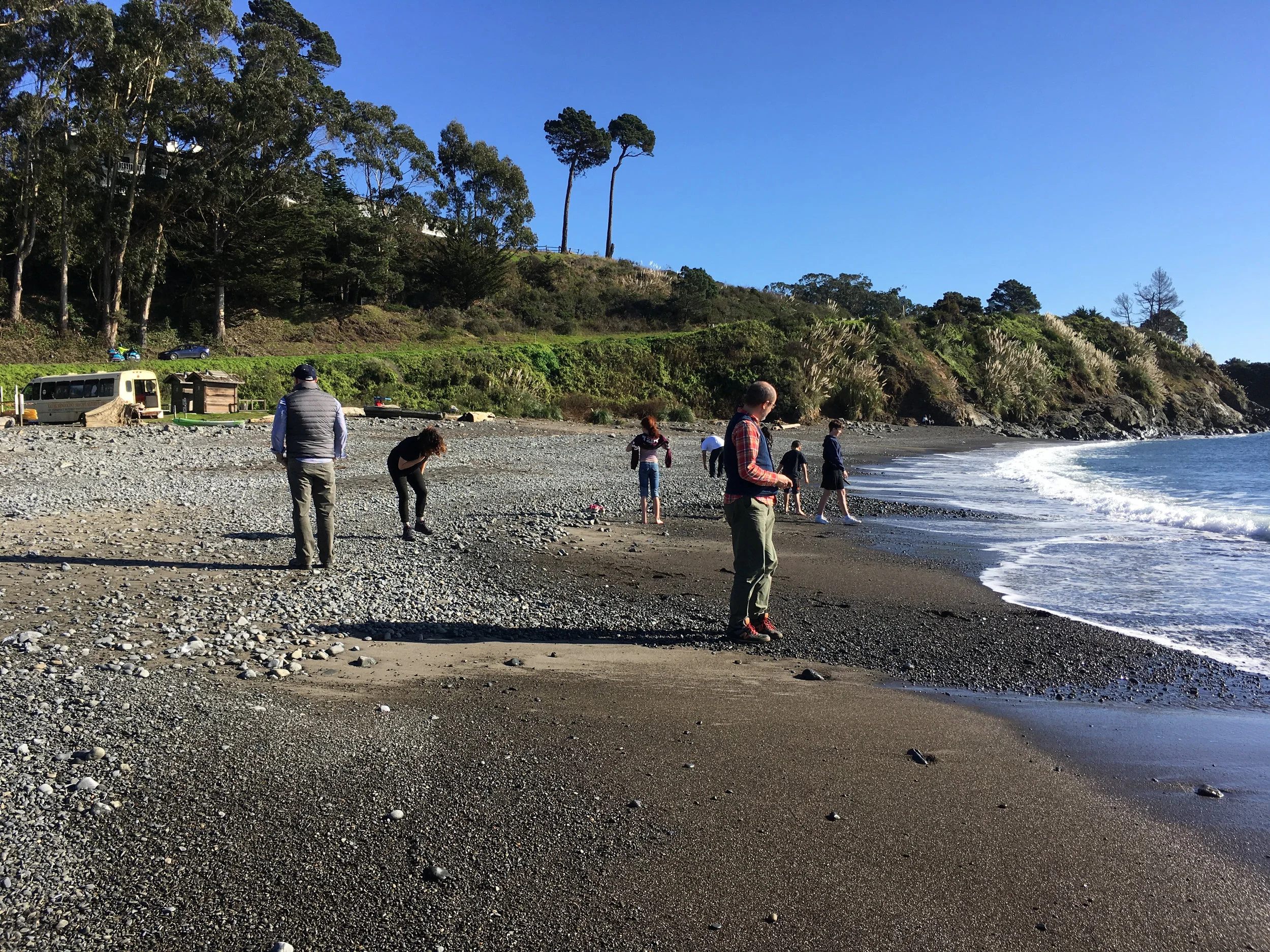   Companion Planting: A Prologue , Big River Beach, Mendocino, California, February 3, 2018. 