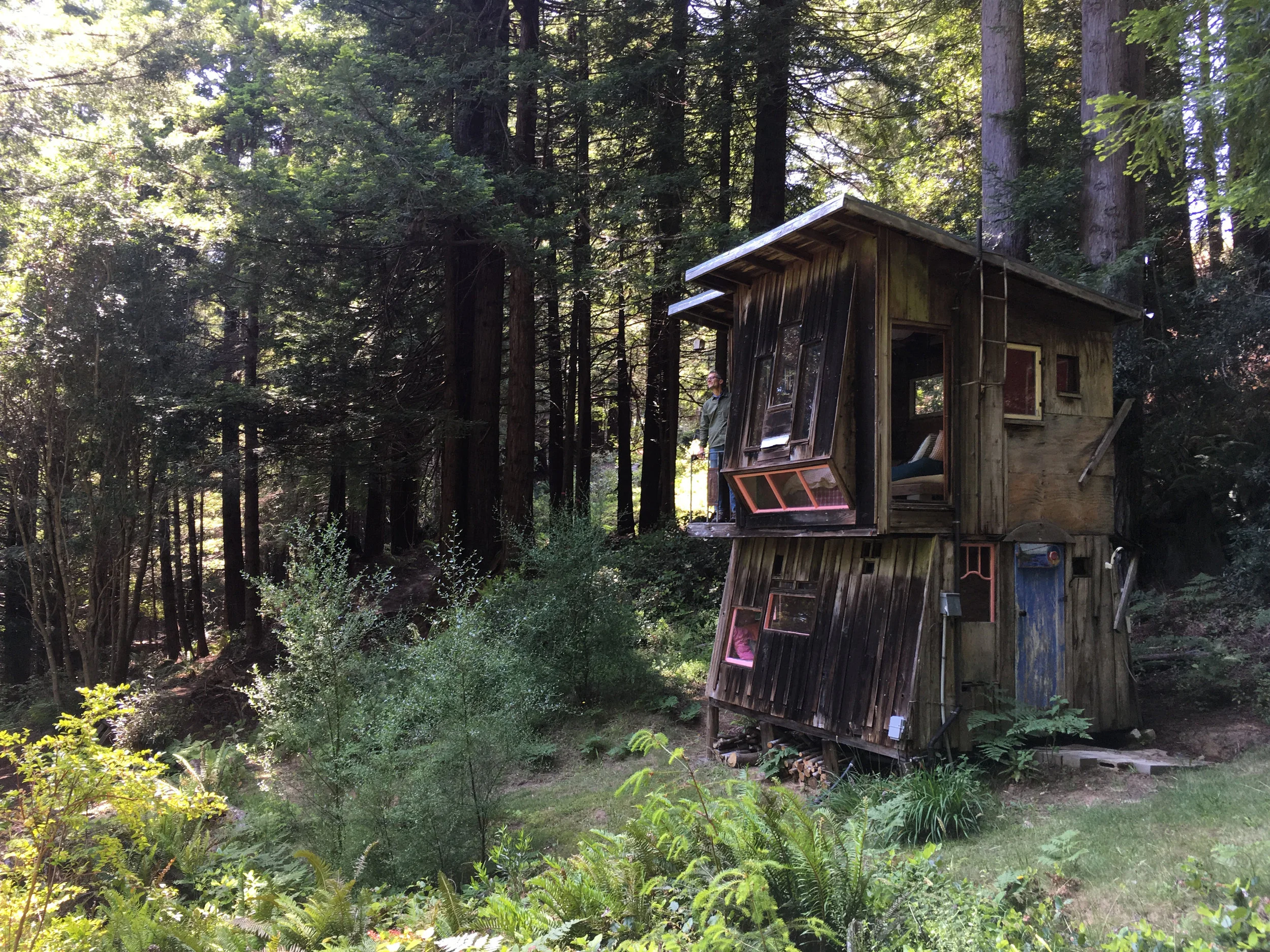  River Cabin, Salmon Creek Farm, California, June 2018.&nbsp; 