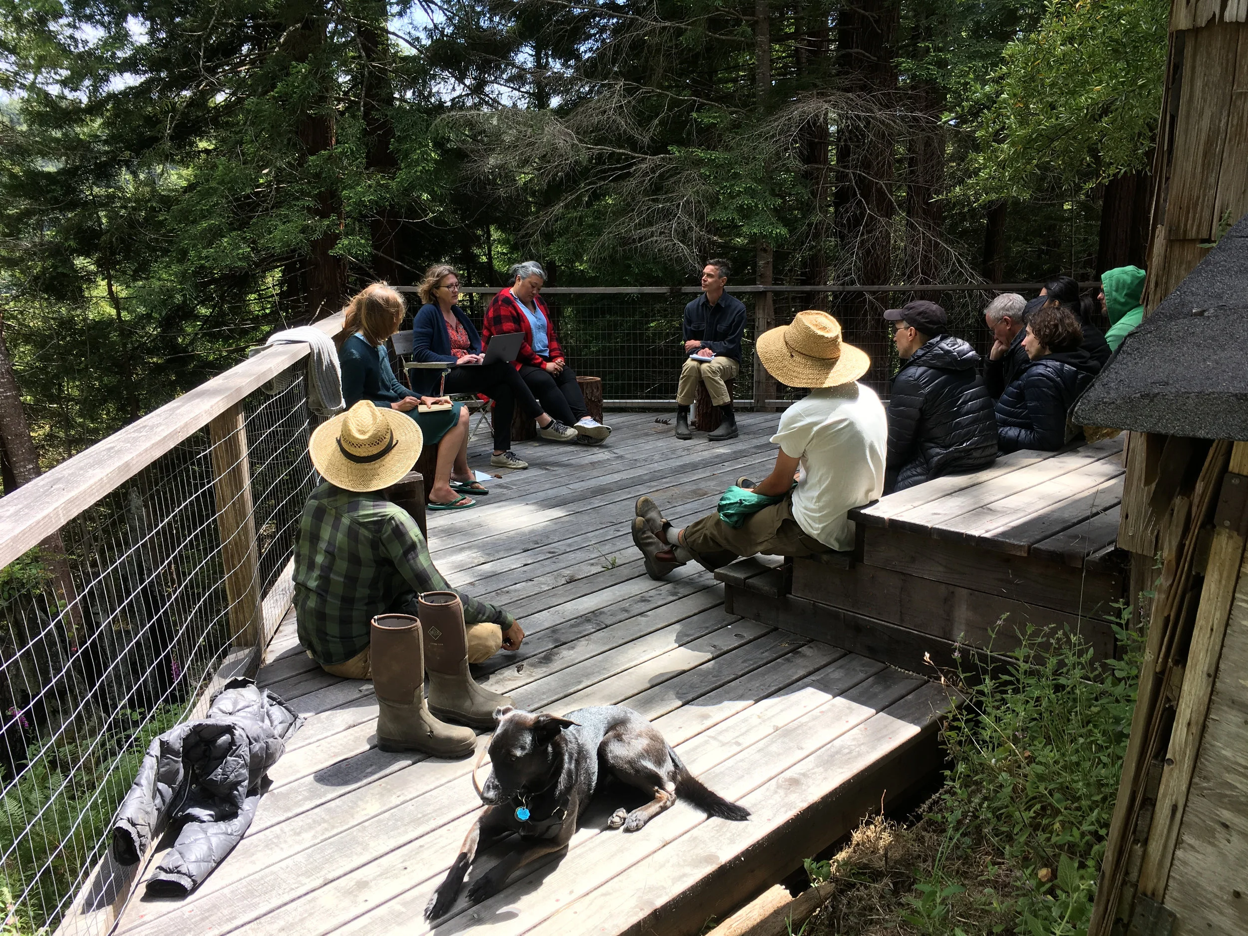   Companion Planting . Module: Audiences, led by Shannon Jackson. Reading of two pieces “Don’t get me wrong, I love art” and “Ten Things that Bother Me about the Audience Question.” Salmon Cabin deck, Salmon Creek Farm, June 9, 2018. 