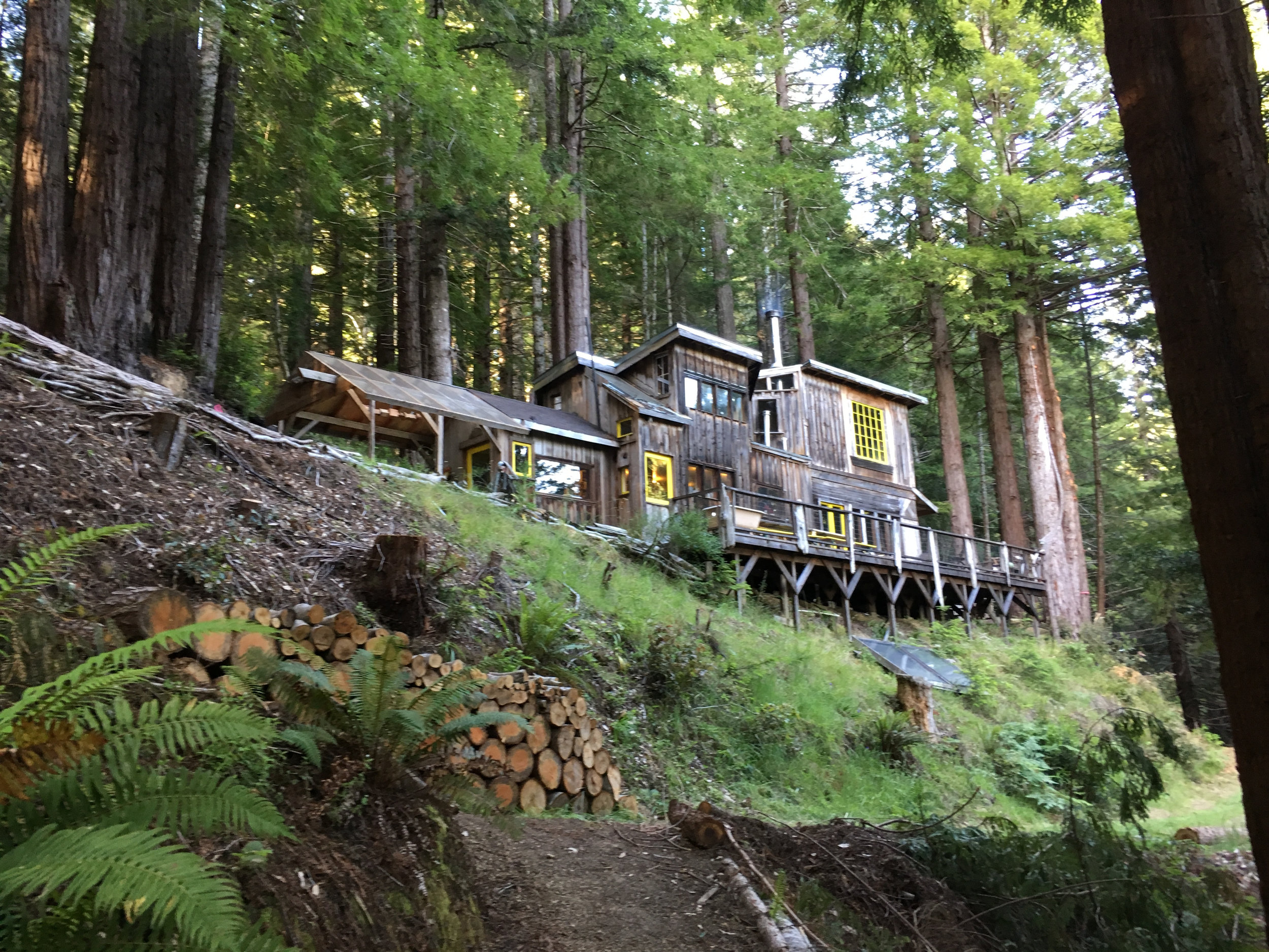  Dawn Cabin, Salmon Creek Farm, June 2018. 