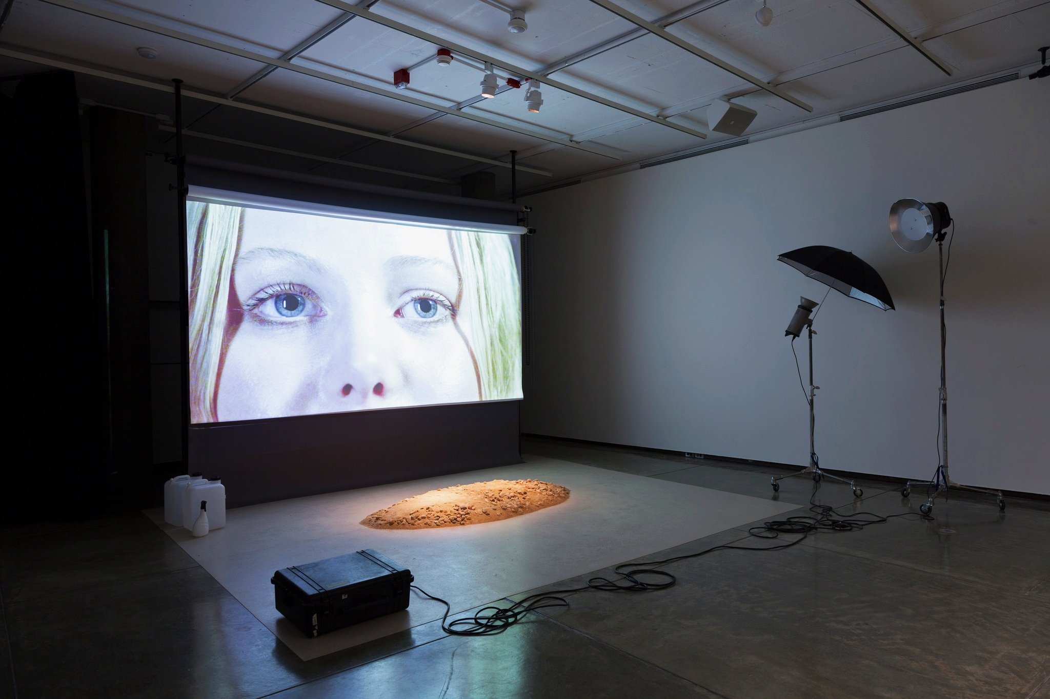  Simon Fujiwara,  Studio Pietà (King Kong Komplex) , 2013, mixed media installation with video projection, duration: 20:30, dimensions variable. Courtesy of the artist. 