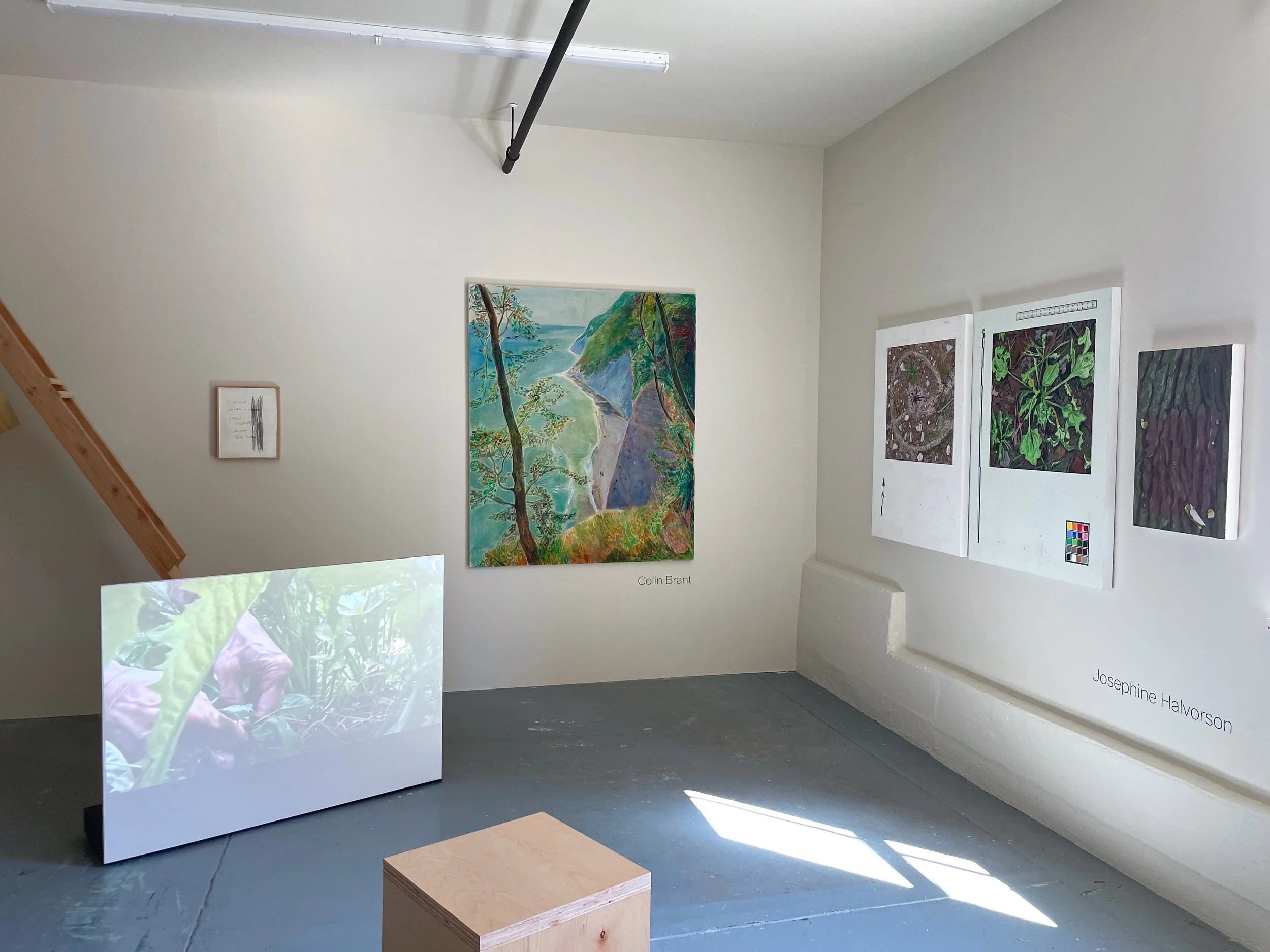  Installation view,&nbsp; Relational Landscapes , Spritz3000, Catskill, New York 