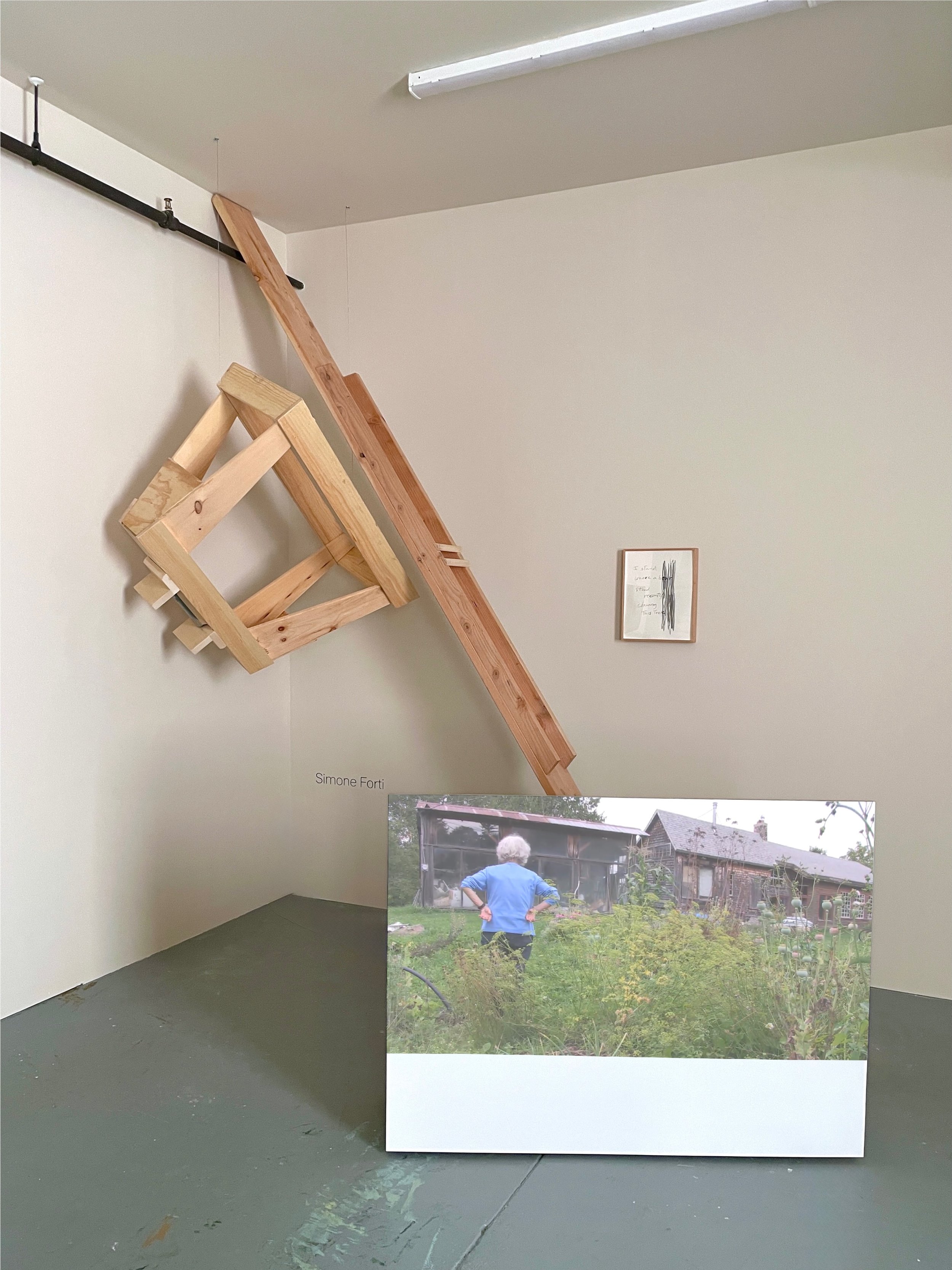  Simone Forti,  Weeding: Steve and Lisa’s Garden 1 , 2019. Digital video, 18 min., uneditioned;  Saw Horse and Plank , 1961/2022.&nbsp;Unpainted pine, 120 × 9 × 5 in. 