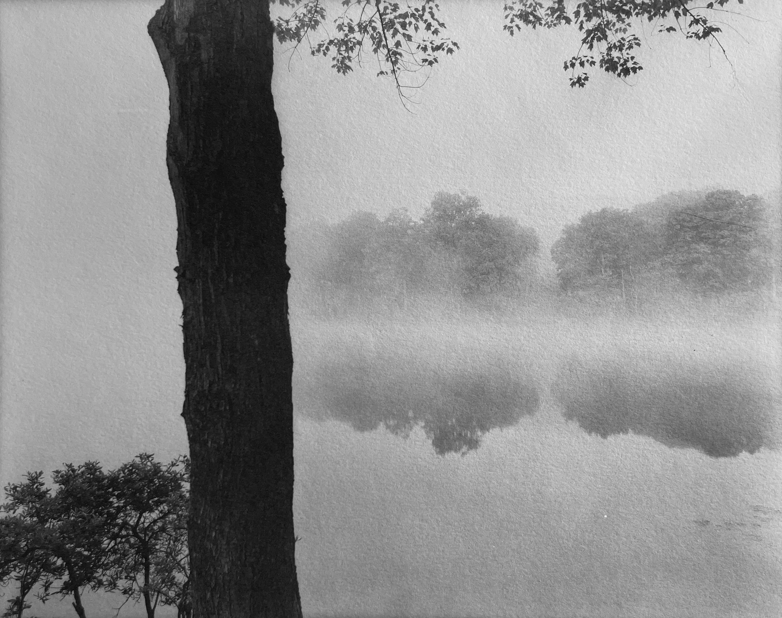  John Yang,  Innisfree Garden, Millbrook, New York , 1986. Gelatin silver print, 8 × 10 in., photographer’s credit stamp on print recto and notes in pencil in photographer’s hand 