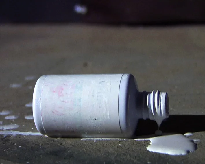 2. Whiteout, Still image from Grayscale, 2010.jpg