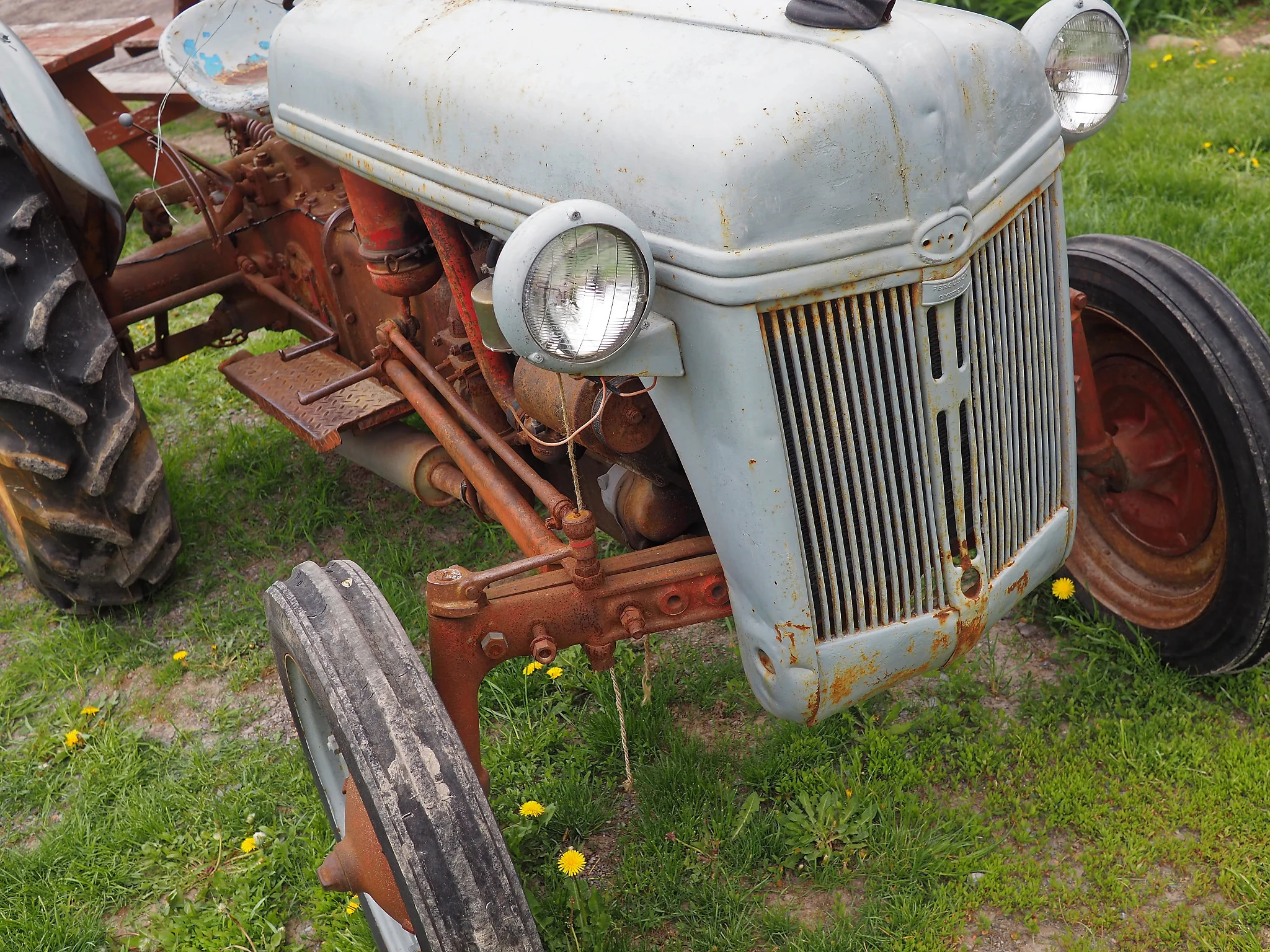 P5210082Beaus.jpg