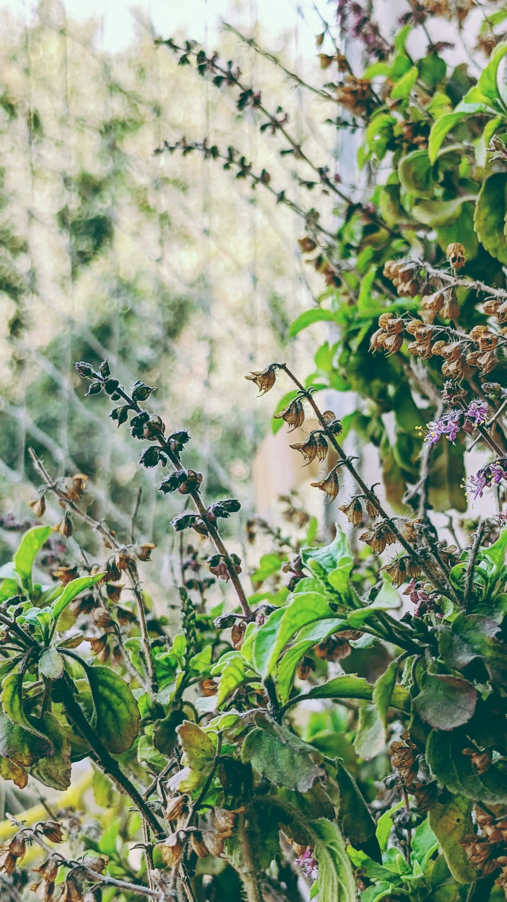 avinash-sharma-KRjqbIN2WO0-unsplash.jpg
