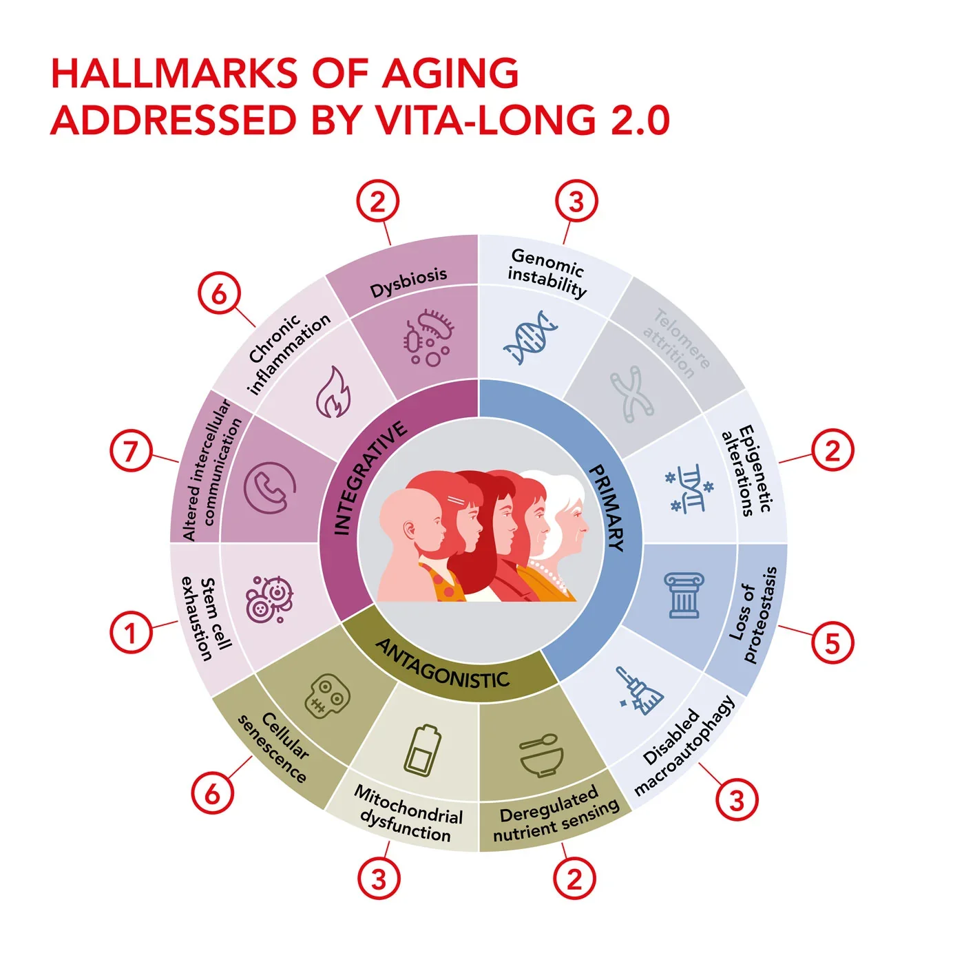 6VL-30_Hallmarks_ageing.webp