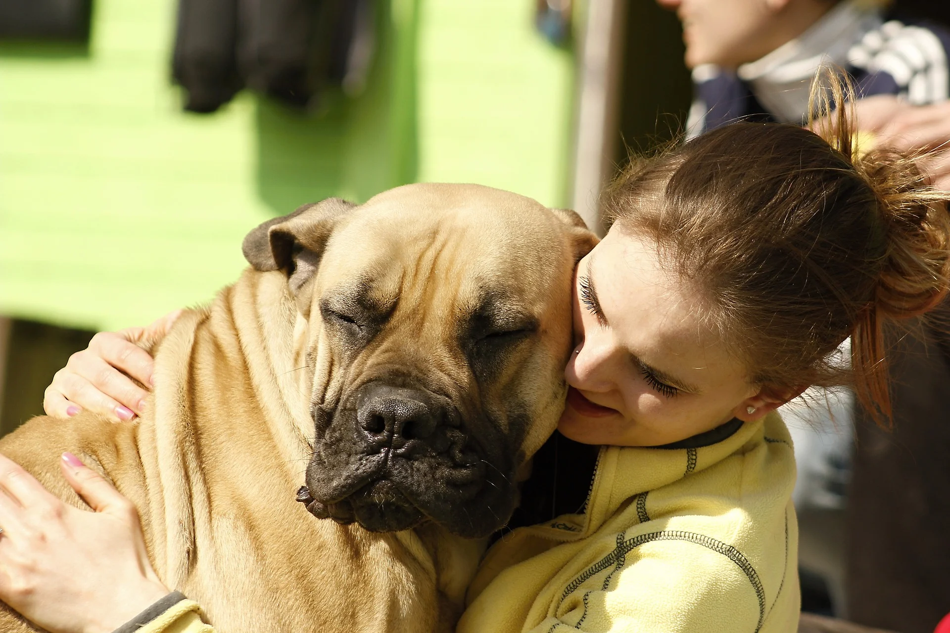dog-1302364_1920.jpg