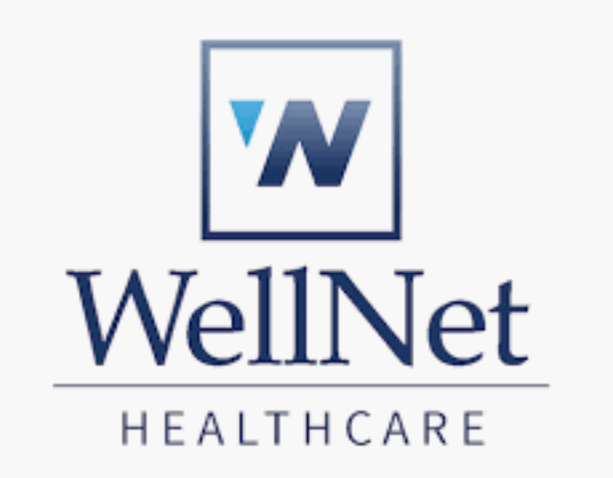 2019-06-18 20_27_33-wellnet insurance logo - Google Search.png