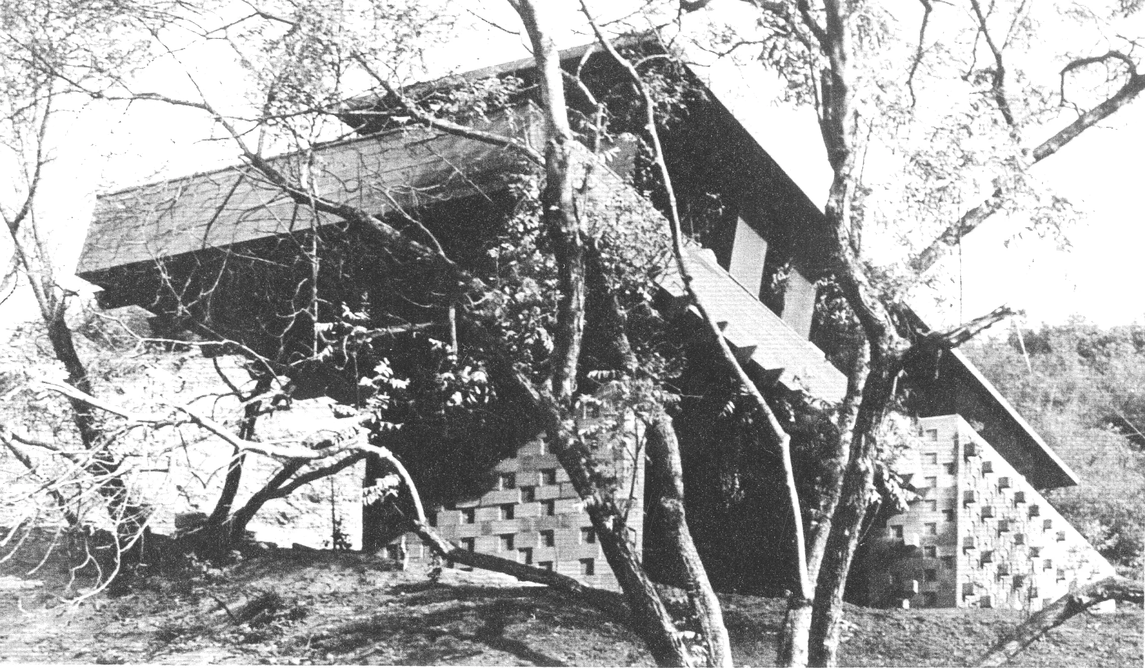 Becsky from below2.jpg