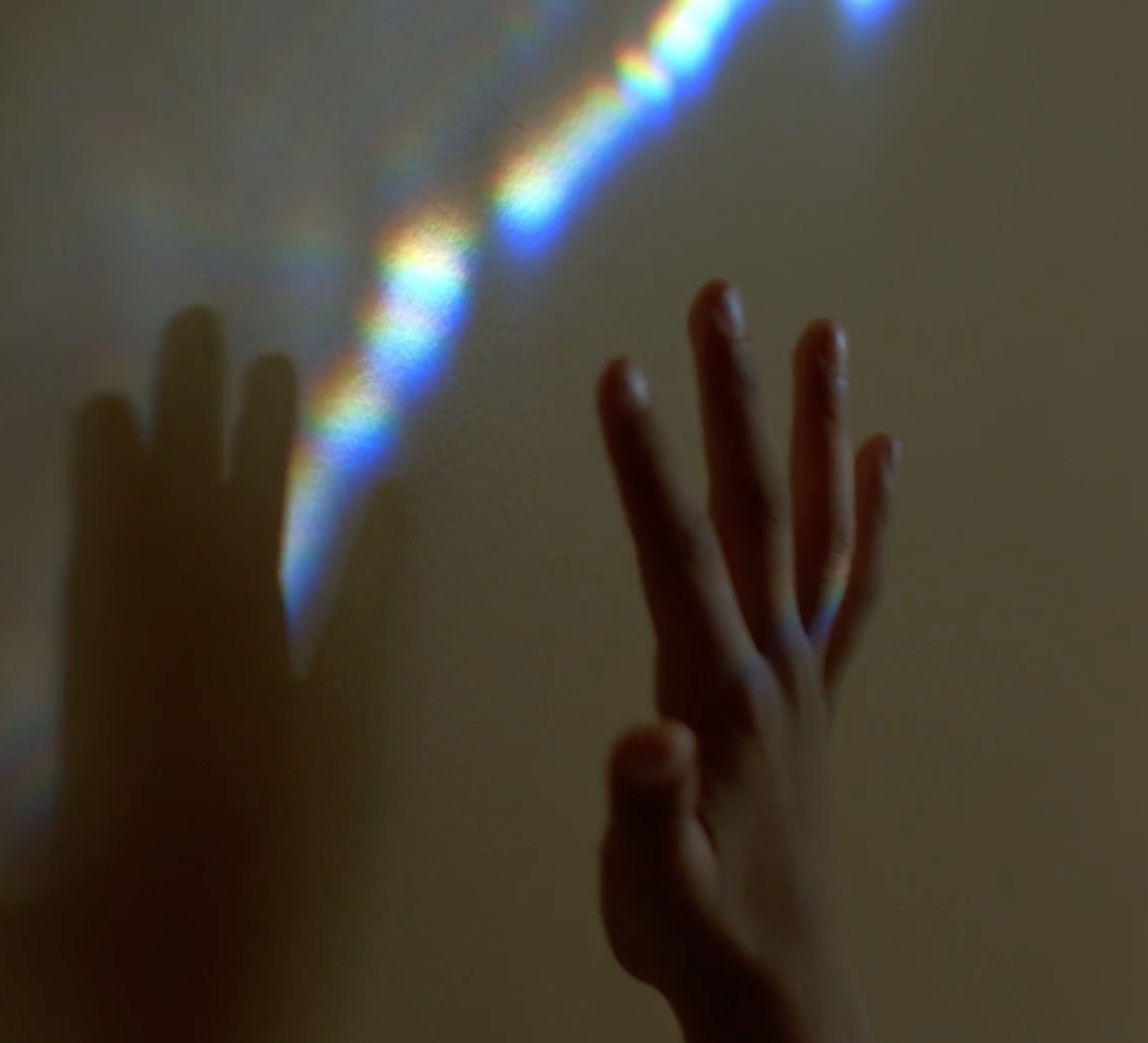 Clearly | See Life Shine