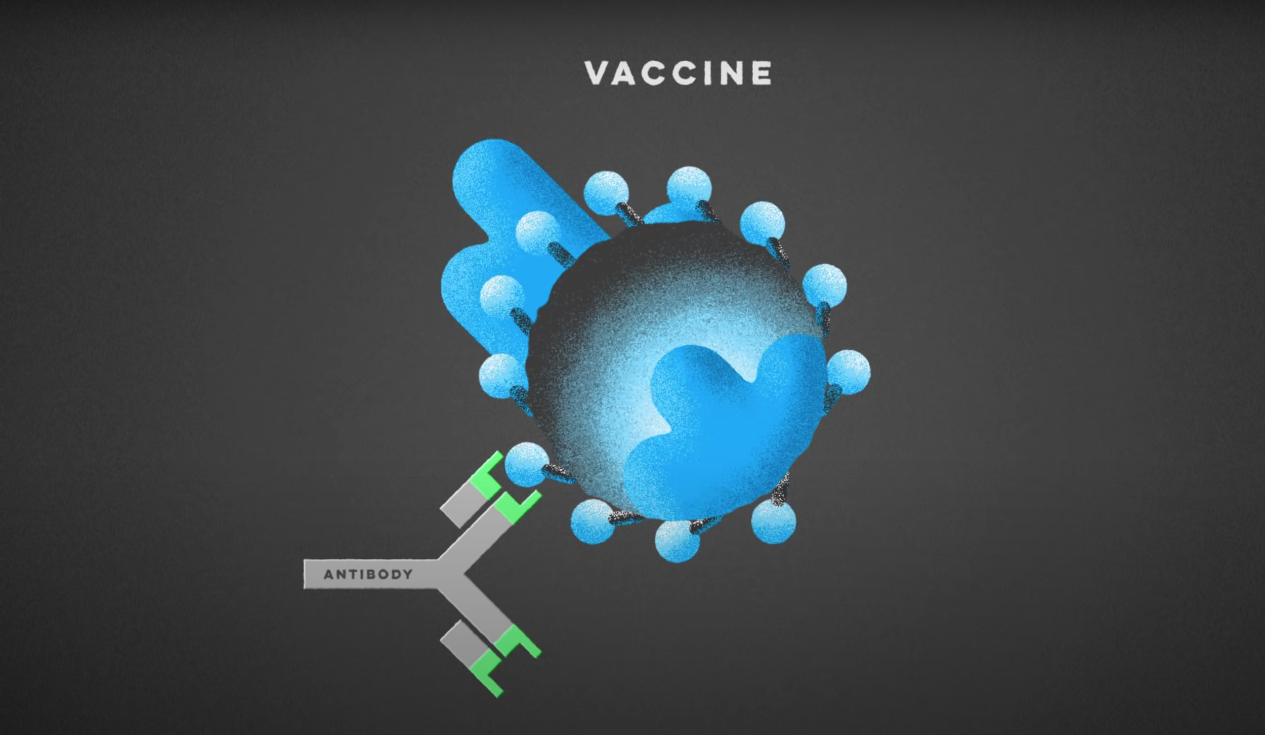 TED Ed | Vaccines