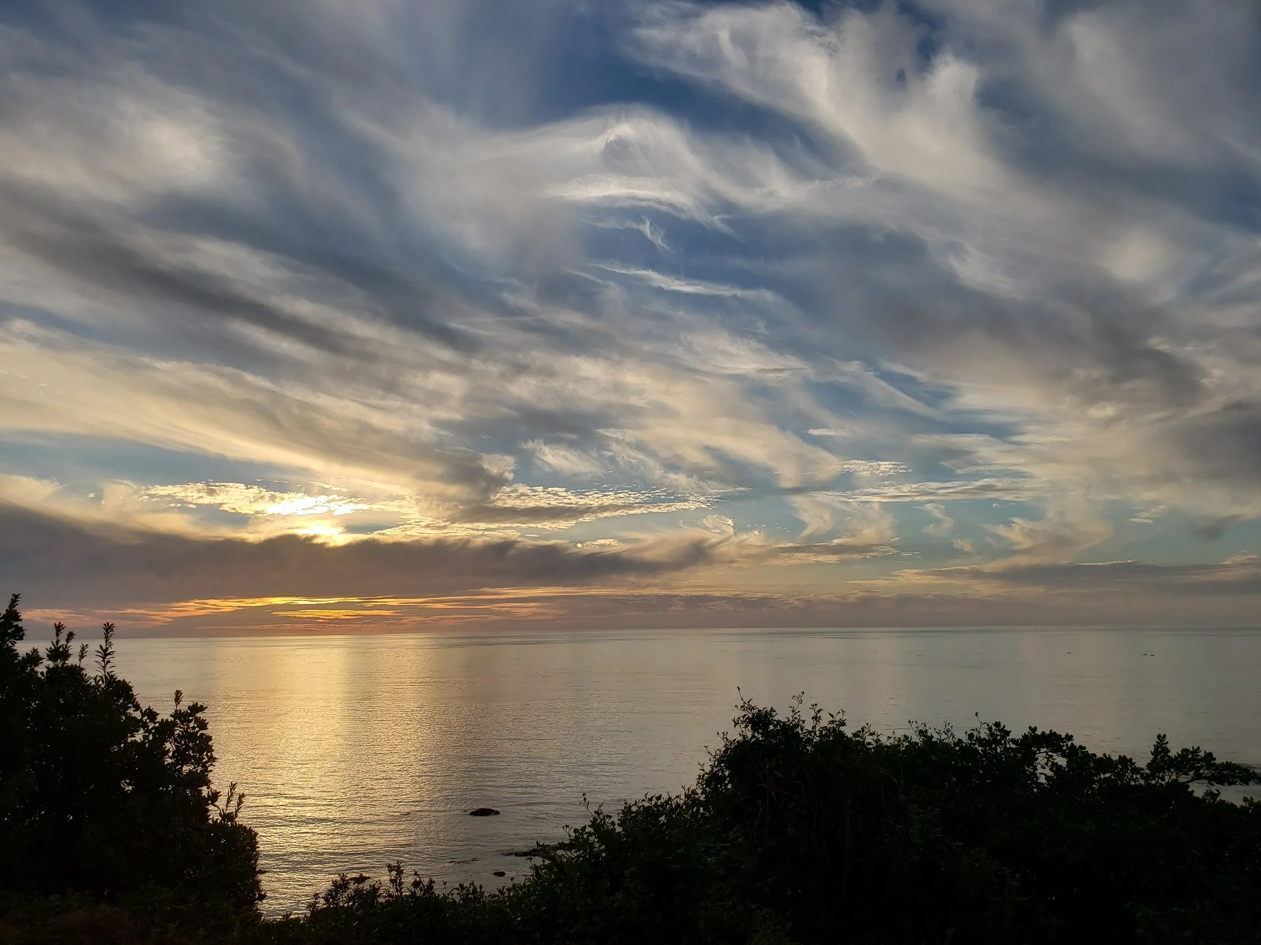 20180504_165524.jpg
