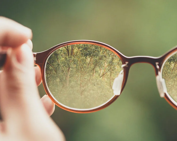 A New Lens on Life