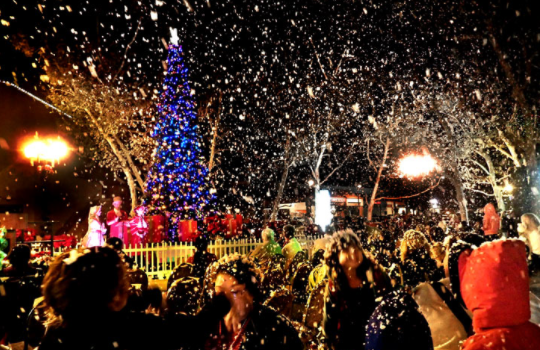 Lakewood Tree Lighting 