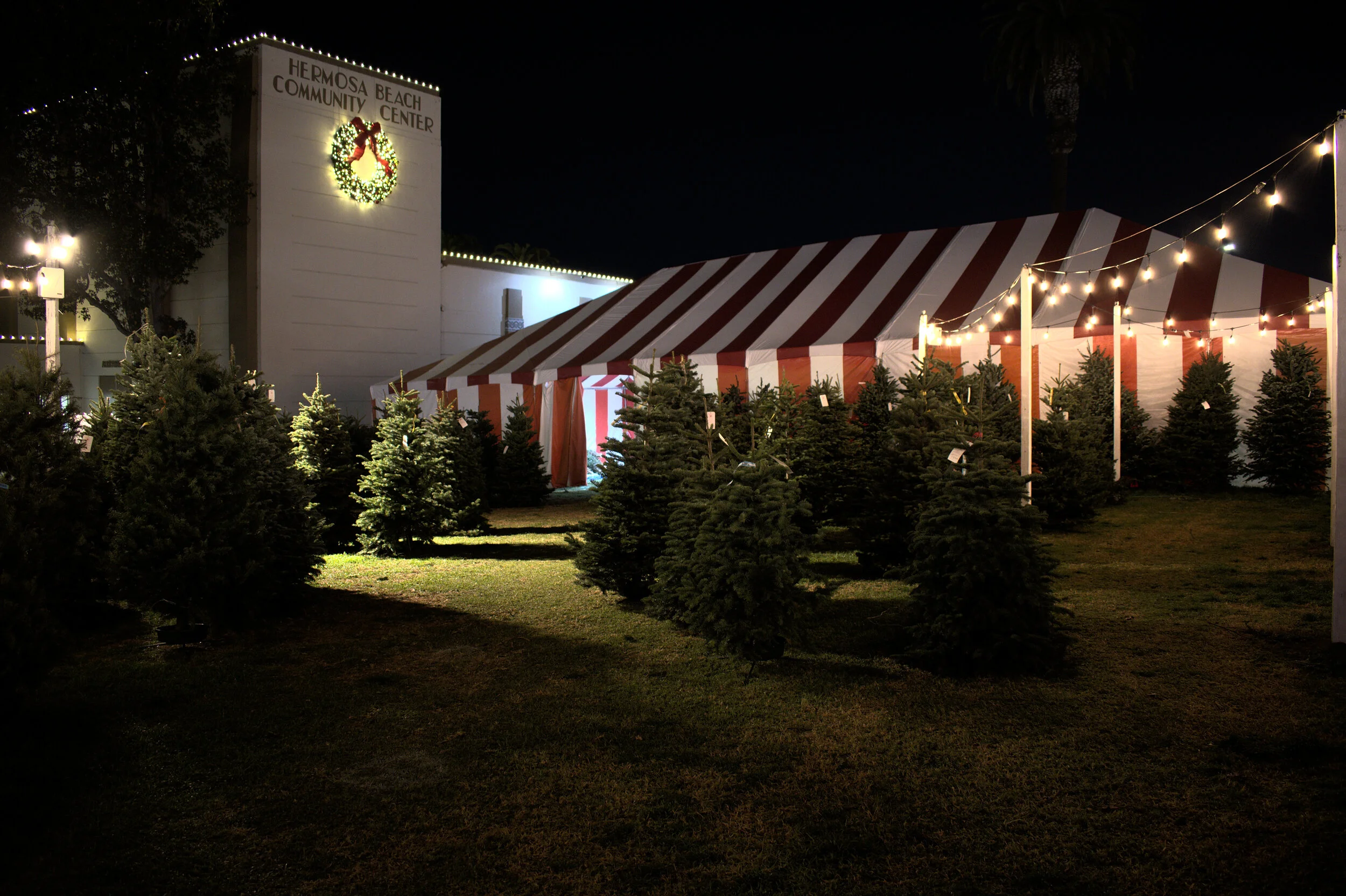 Hermosa Beach Kiwanis Christmas Tree Lot — Bell Event Services
