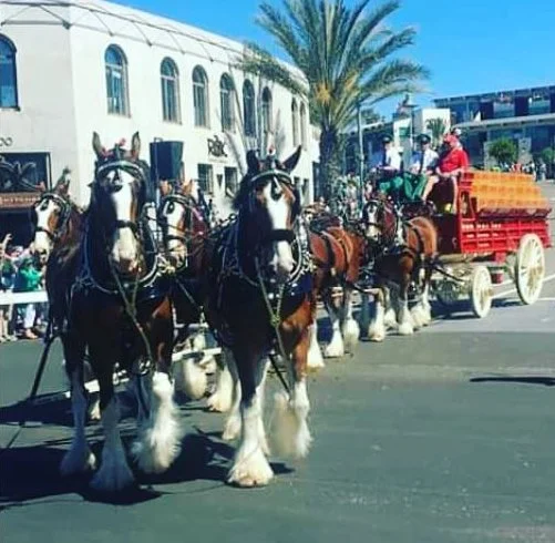 Hermosa Beach St Patrick's Day Parade