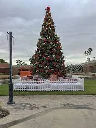 El Segundo Christmas Tree Lighting — Bell Event Services