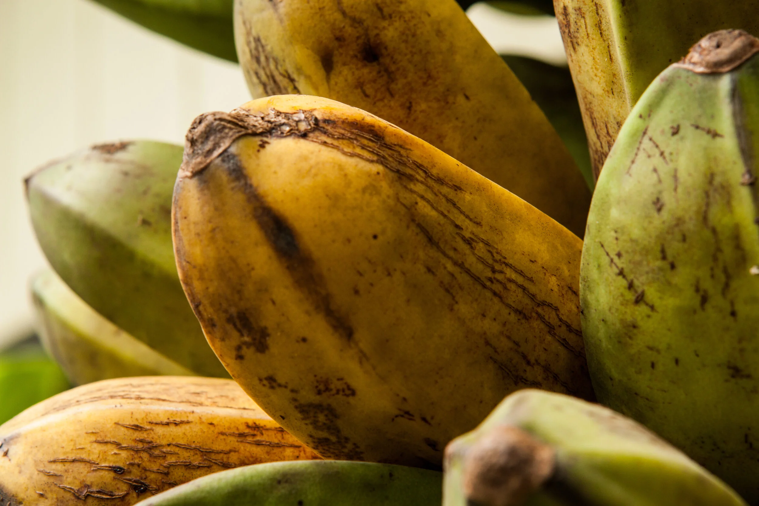 closer up of bananas.jpg