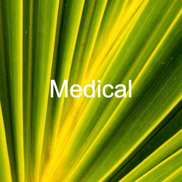 Medical.jpg