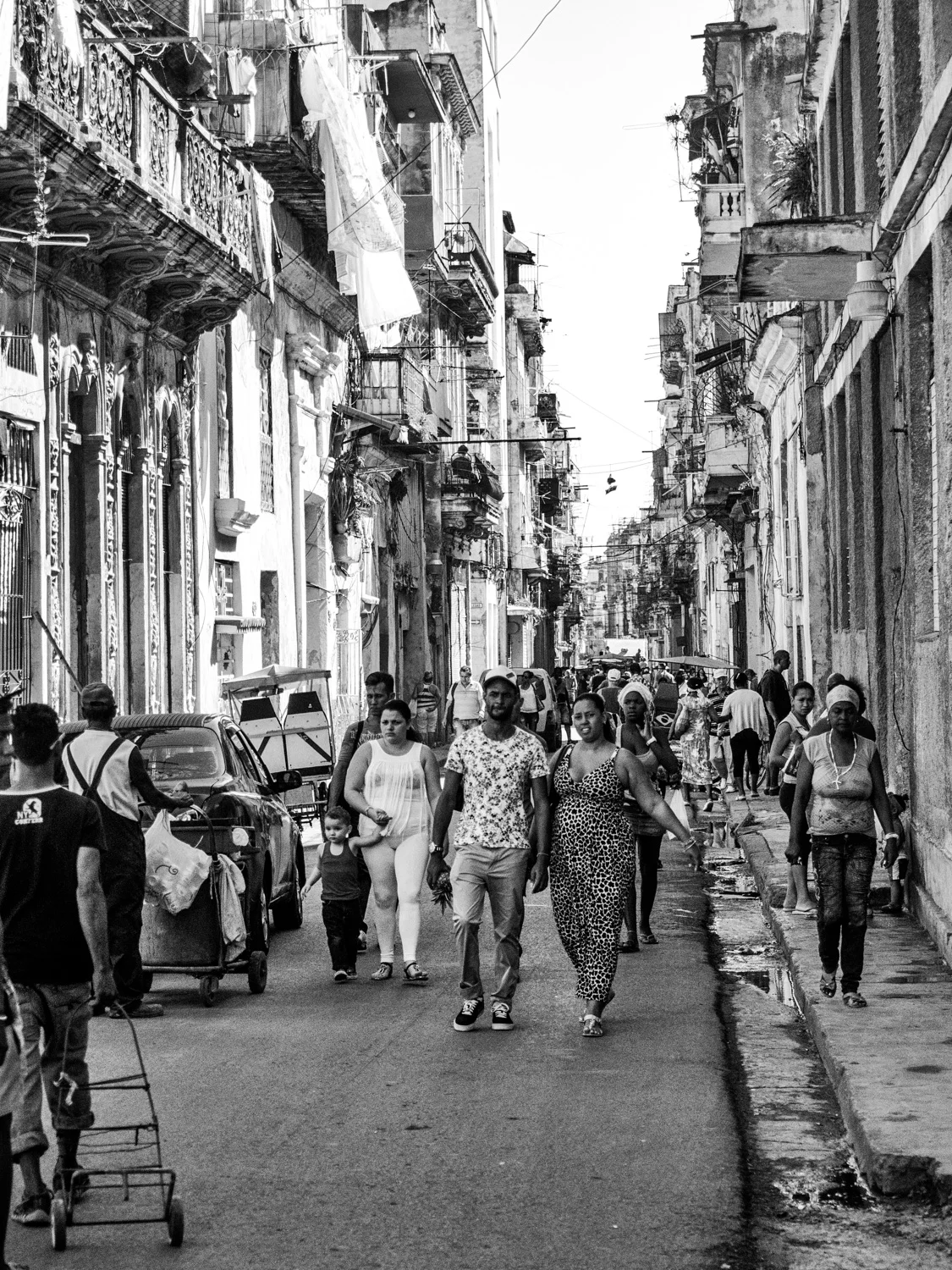 P3140409-Edit.jpg