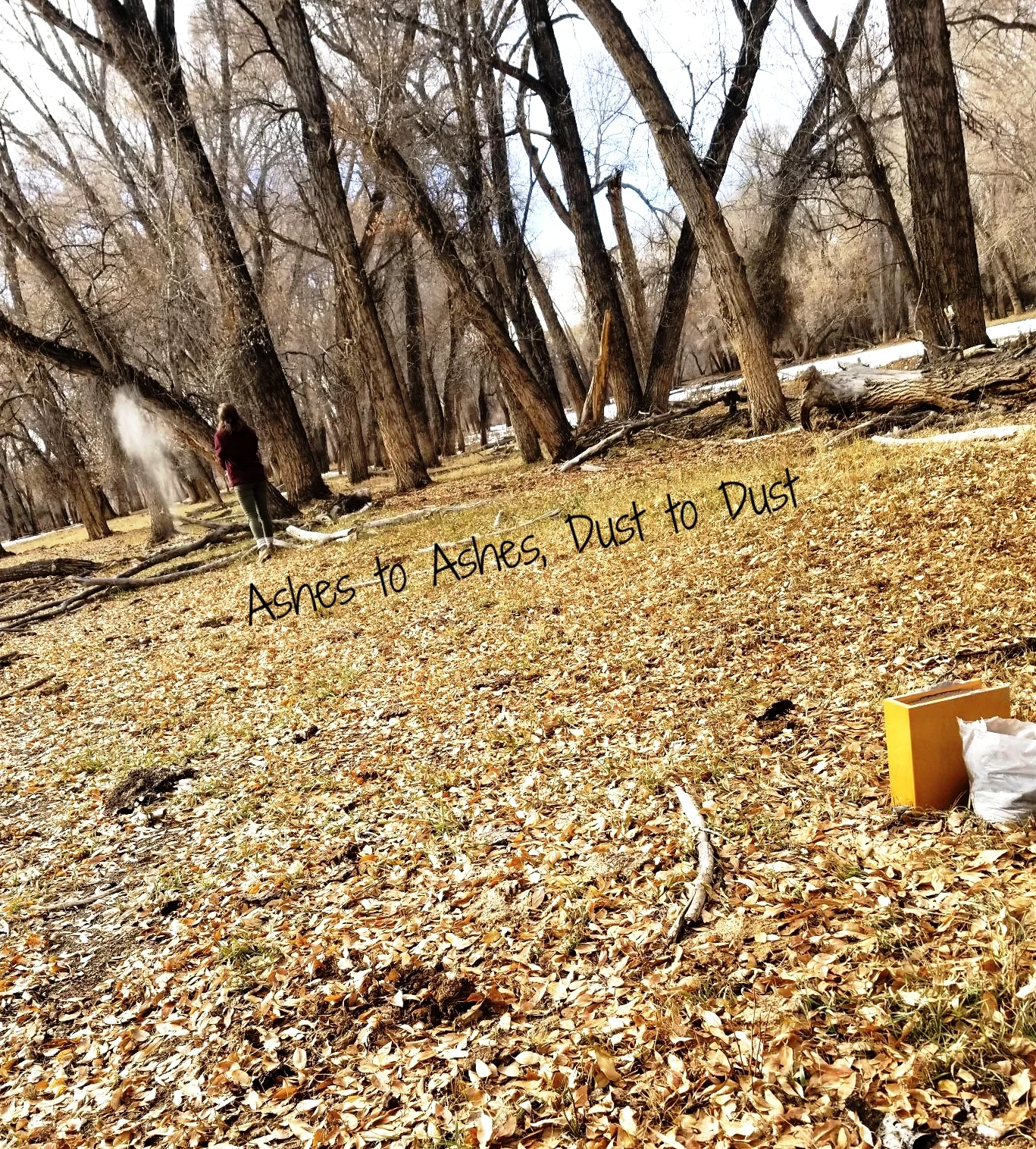 A Temporary Farewell