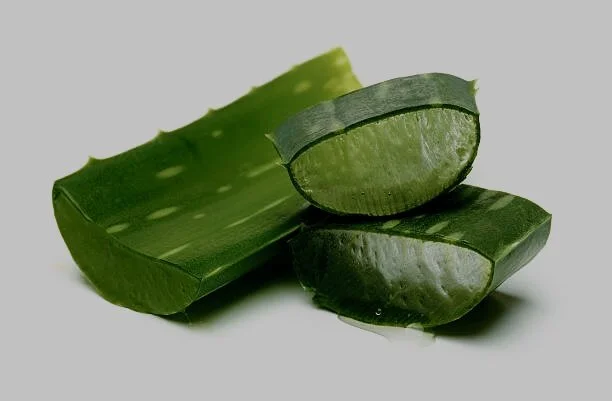 Aloe