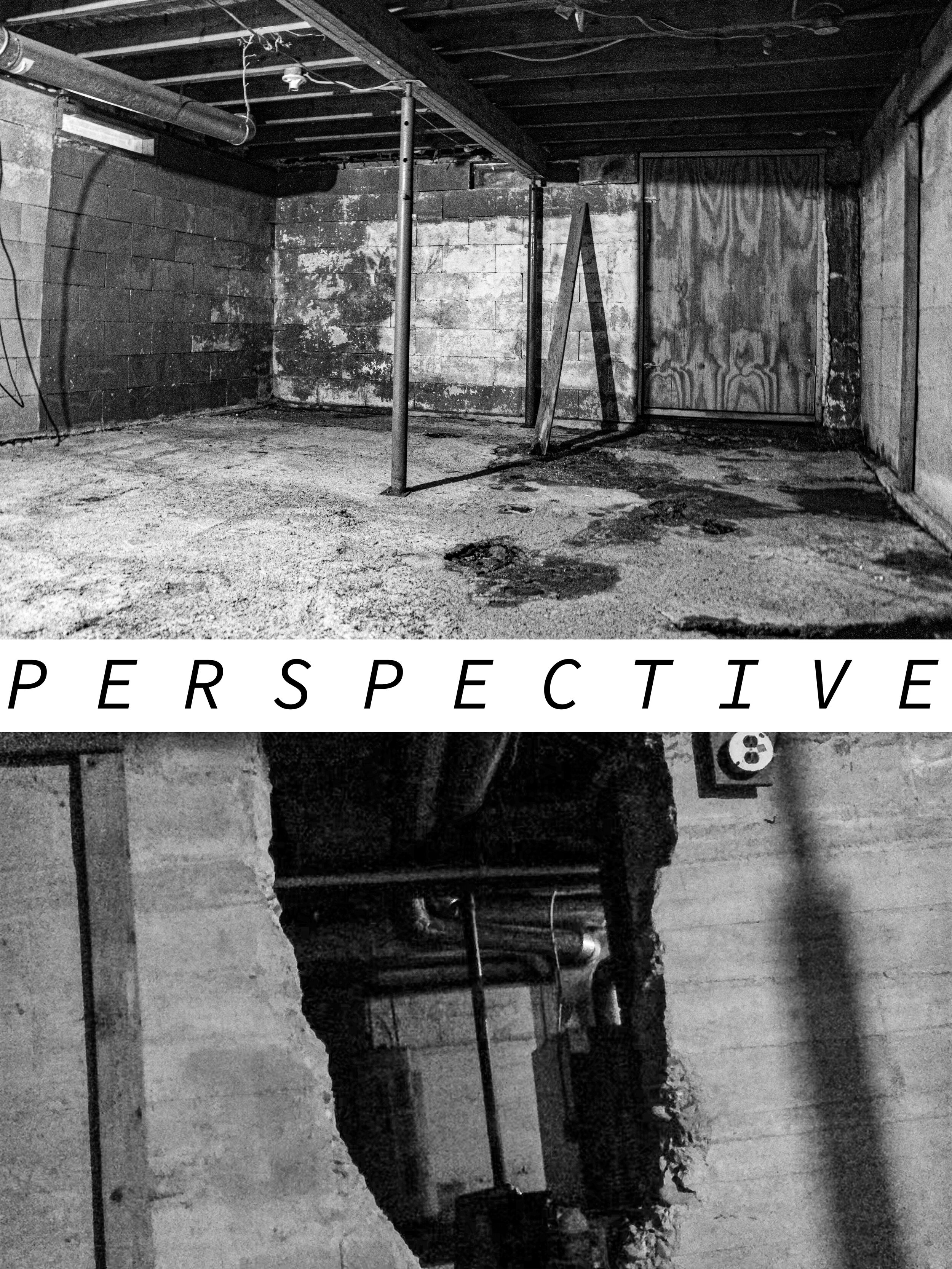 Perpective.jpg