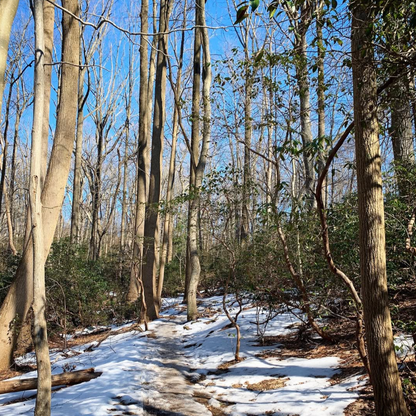 Thaw, Reset &amp; Rebuild