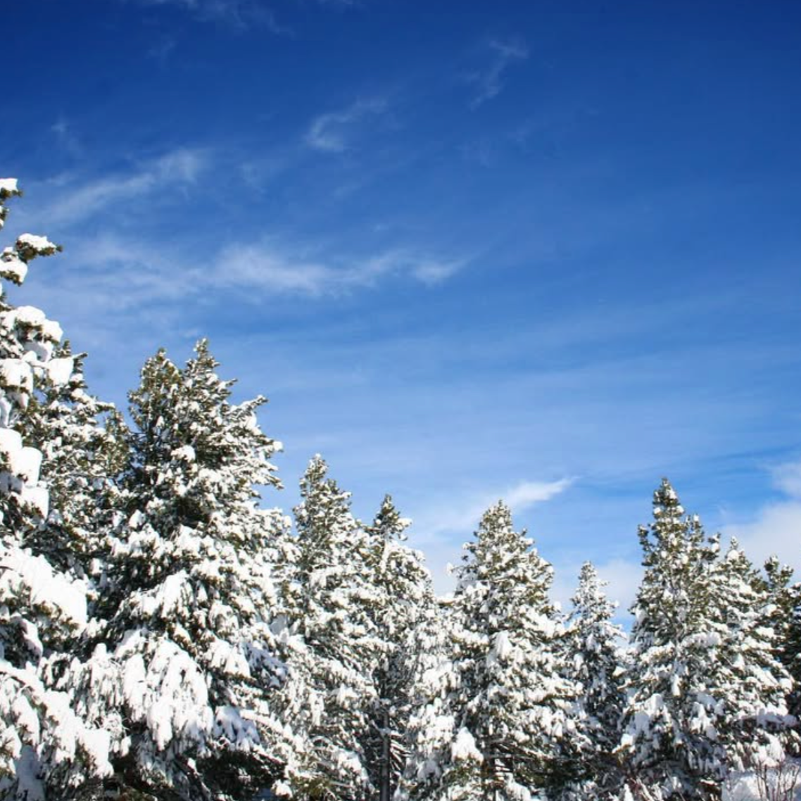 Wintering: Slowing Down with Yoga