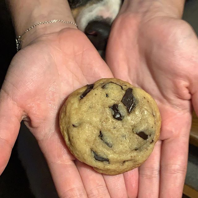 Fuuuuuuuck.
.
.
.
.
.
#cookies #chocolatechip #dogsofnyc #puppiesofinstgram #fuckthatsdelicious #yum #eeeeeats #theburgerisms #theburgerists #cookie #desserts #eatnyc #homemade