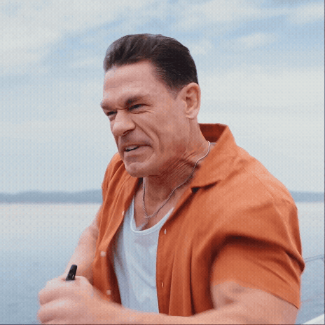 BS Gif.gif
