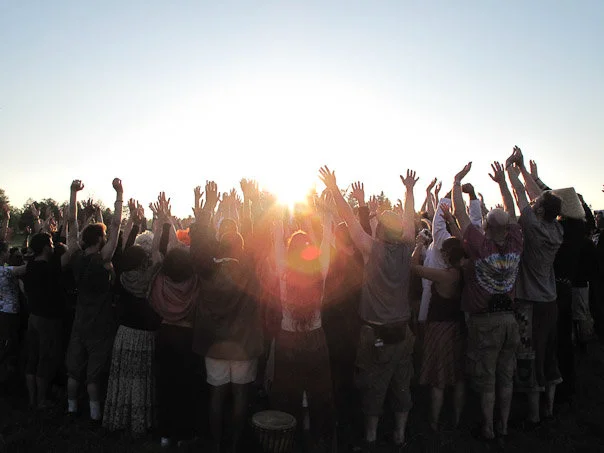 many hands in the air.jpg
